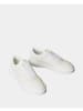 Calvin Klein Sneakers YW0YW02032 in Marshmallow/Dk Ecru