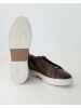 BOSS Slipper in Braun