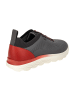 Geox Sportliche Schnürschuhe in Grau