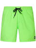 Quicksilver Badeshorts Everyday in green gecko