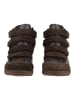 Steve Madden Stiefelette MUSTANG in Braun