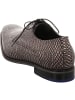 Floris van Bommel Schnürschuhe in grau