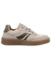 Gabor Sneaker in beige