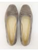 Andrea Conti SHOES Ballerinas in Grau
