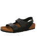 Birkenstock Sandalette in bunt