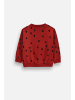 Coccodrillo Langarmshirt in dunkelrot