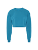 hoona Sweatshirt in Blau