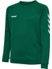 Hummel Hummel Sweatshirt Hmlgo Multisport Kinder in EVERGREEN