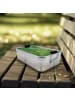Mr. & Mrs. Panda Snackbox Frosch Liebe Design ohne Spruch in Weiß