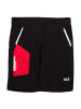 Jack Wolfskin Shorts Pro11 Hike Overland