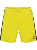 Hummel Hummel Shorts Hmlauthentic Multisport Herren Atmungsaktiv Schnelltrocknend in BLAZING YELLOW