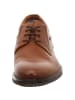 LLOYD Schnürschuhe in braun