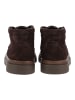 GANT Footwear Stiefelette in Espresso