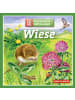 Quelle & Meyer Spiel - Natur-Memo "Wiese" (Spiel)