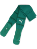 Puma Socke "TeamFinal Socks" in Grün