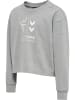 Hummel Hoodie Hmlprima Bee Cropped Sweatshirt in GREY MELANGE