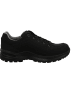 LOWA Outdoorschuhe RENEGADE EVO LL in schwarz/schwarz