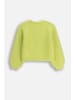 Coccodrillo Strickpullover in limonengrün