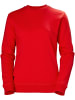 Helly Hansen Pullover "Classic Sweatshirt" in Rot