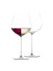 Zwiesel Glas 2er Set Allround Weingläser VUELO 640 ml transparent in transparent