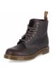 Dr. Martens Schnürboots PASCAL in braun
