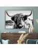 MuchoWow Leinwand bilder Schottisches Hochlandrind (BxH)
