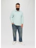s.Oliver Polo-Shirt in 7211_salbeigrün