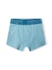 Minoti 5er-Set: Boxershorts 19brief15 in blau