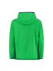 cmp Fleecejacke in Grün