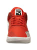 Puma Basketballschuh Clyde All-Pro Team in rot / weiß