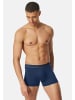 Schiesser Retro Short / Pant Pure Micro in Admiral