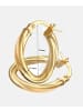 Vanlere Creolen aus 375 Gelbgold