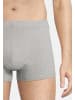 Seidensticker Retro Short / Pant Pur in Mehrfarbig