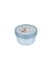 Mepal Fruchtbox Campus 300 ml in Forest Friends