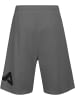 Fila Sportshorts "Lezinnes Loose Shorts" in Grau