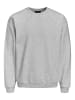 Jack & Jones Basic Langarm Sweater Shirt Rundhals Pullover ohne Kapuze JORBRINK in Hellgrau