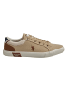 U.S. Polo Assn. Sneakers in Beige