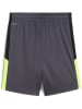Puma Sporthose "IndividualLIGA Training Shorts 2 Jr (open pockets)" in Grau