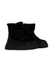 Divine Factory Lederstiefeletten Alénoa Schwarz