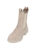 Tamaris Stiefeletten in taupe