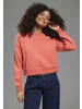 Laura Scott Sweatshirt in burnt sienna