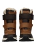 Geox Winterstiefel in Braun