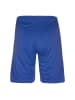 Jako Trainingsshorts Striker in blau / weiß