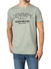 DENIMFY T-Shirt DFNuri in Grün