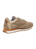 Cetti Sportliche Schnürschuhe in Beige
