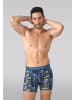 Muchachomalo 3er-Set: Boxershort in Mehrfarbig - für Herren