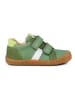 KOEL Sneaker in grün