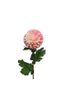 MARELIDA Kunstblume Dahlie in rosa - H: 75cm