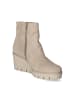 Gabor Ankle Boots in Taupe