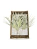 MeinVIPShop Tropisches Palmblatt im 3er Set ca. 50 cm